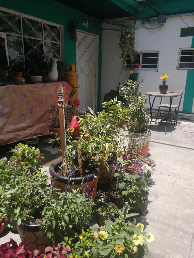 Departamento Cercano Al Aeropuerto T2, A 2 Calles Apartment *